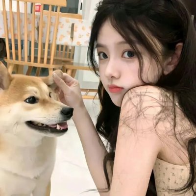 救猪行动 在线观看
