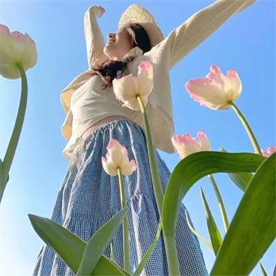 捕风汉子 在线观看